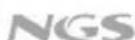 NGS Wildtechno - FUNZIONE REGISTRAZIONE INCORPORATA - 2