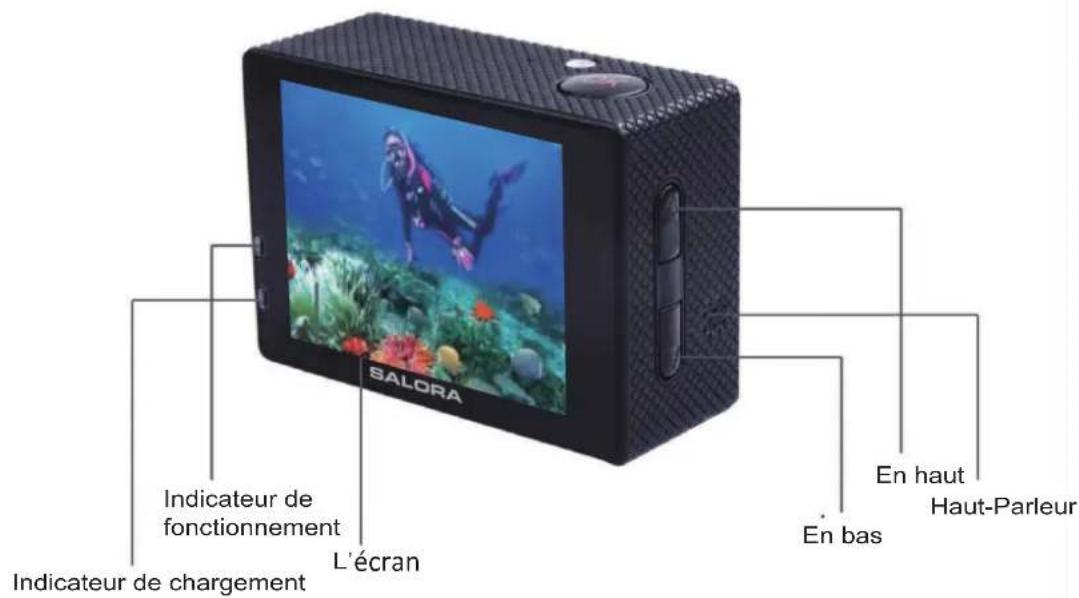 SALORA ACE100 - Annonces - 2