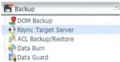 Thecus Thecus N12850 - Rsync Serveur cible - 1