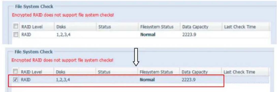 Thecus Thecus N12850 - File System Check (Vérification du système de fichiers) - 4