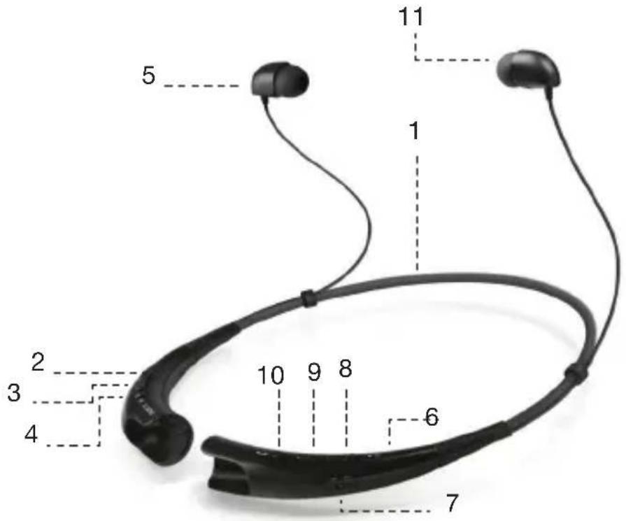 SBS BT710 - ACCESSIONS IN THE BOX - 1
