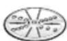 BOSCH Startline MUM50136 - Vandbar riv- och strimmelskiva - grov / fin - 1