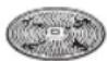 BOSCH Startline MUM50136 - Riveskive - middelfin - 1