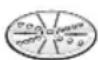BOSCH Startline MUM50136 - Vende-raspskive - grov / fin - 1