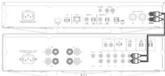 CAMBRIDGE CXN V2 - CONNEXIONS AUDIO DE BASE - 1