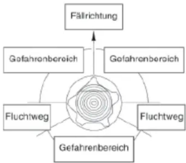 Wolf Garten CSE 2240 - Verwenden Sie Keile, um sich bei der Kontrolle der Fällrichtung zu halten und um das Einklemmen des Schwerts beim Sagen zu vermeiden. - 1
