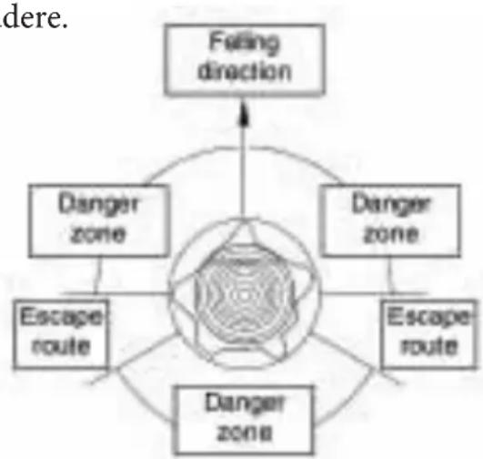 Wolf Garten CSE 2240 - Efectuati un marcaj pe partea in care va fi doborhat copacul. Operantiunea constă in efectuarea, mai intai, a partii superioare a taiturii direcionale si ulterior a celei inferioroare care trebuie sa realizze in locul in care sfarseste partea superioara. - 1