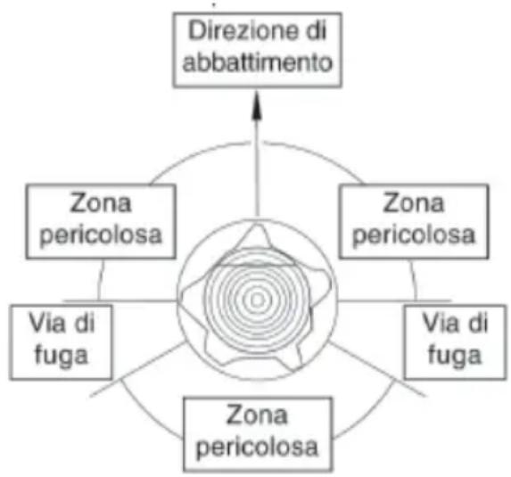Wolf Garten CSE 2240 - Effettuare il taglio di abbattimento sull'altro lato, 3-5 cm sopra la linea del taglio direzionale. - 1