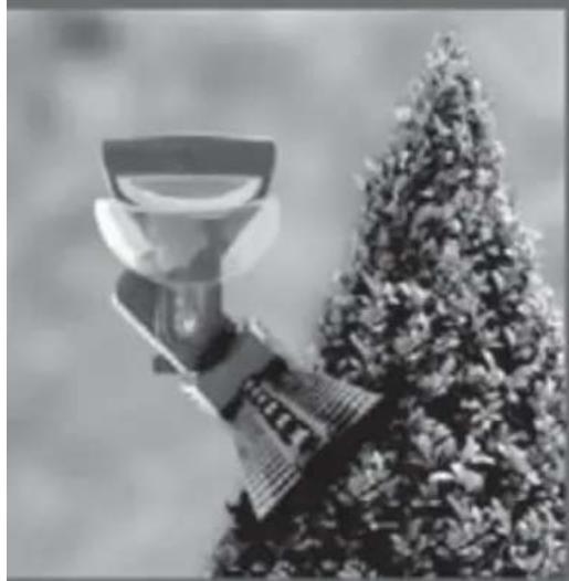 Wolf Garten CSE 2240 - WOLF Garten - 4