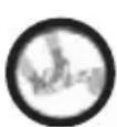 Wolf Garten CSE 2240 - PERICOLO DERIVANTE DA CONTRAC-COLPO (KICKBACK) - 2