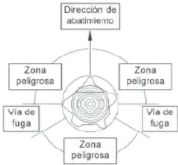 Wolf Garten CSE 2240 - Efectue una muesca en elazo hac daonde hay que abatir el arbol. La operationiste en efectuar antes la parte superior del corte direccional, bajo la parte inferior del corte direccional, queiene que terminar dondeterna la parte superior. - 1