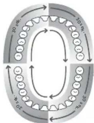 Waterpik WP950 - Schallaktives Zähneputzen - 1