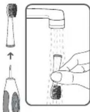 Waterpik WP950 - Pulizia - 1