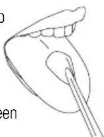 Waterpik WP950 - Tongreinigingstip - 3