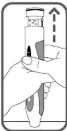 Waterpik WP950 - BESCHRANKTE ZWEIJAHRIGE GARANTIE FÜR WATER FLOSSER (MUNDDUSCHE) MIT SENSONIC PROFESSIONAL PLUS TOOTHBRUSH (SCHALLZAHNBÜRSTE) - 3