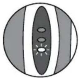 Waterpik WP950 - Recharge Indicator Lights - 2