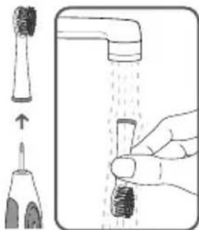 Waterpik WP950 - Reinigen - 1