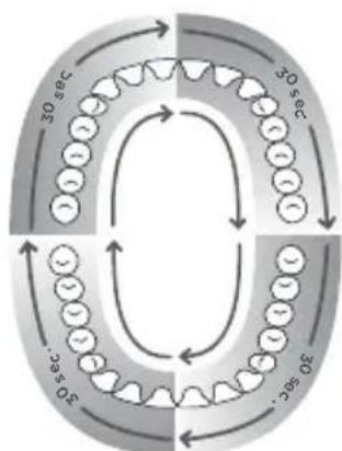 Waterpik WP950 - - Minuterie Quad : - 1