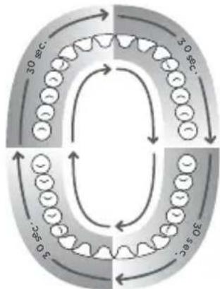 Waterpik WP950 - TANDENBORSTEL - 1