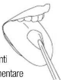 Waterpik WP950 - Beccuccio pulisci lingua - 1