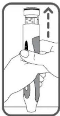 Waterpik WP950 - Remarque: Ce processus n'est pas réversible - 3