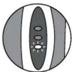 Waterpik WP950 - Embout Plaque Seeker - 1