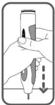 Waterpik WP950 - BEPERKTE GARANTIE VAN TWEEN JAAR VOOR WATER FLOSSER EN SENSONIC PROFESSIONAL PLUS TANDENBORSTEL - 2