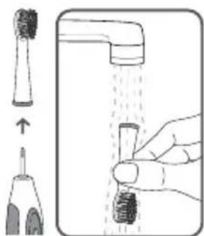 Waterpik WP950 - Nettoyage - 1