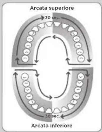 Waterpik WF05 - Tecnica consigliata - 1