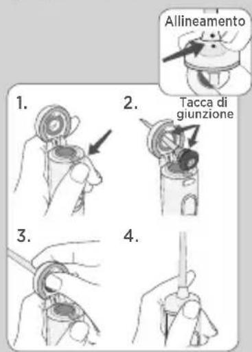 Waterpik WF05 - BECCUCCI - 6