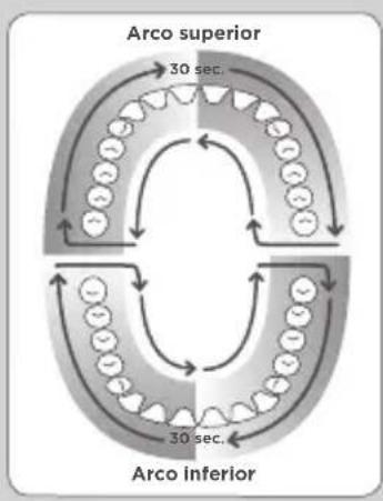 Waterpik WF05 - Técnica recomendada - 1
