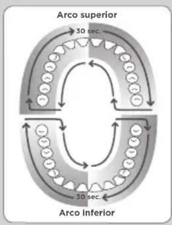 Waterpik WF05 - Técnica recomendada - 1