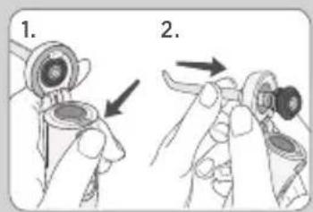 Waterpik WF05 - BECCUCCI - 7