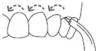 Waterpik Ultra WP112E1 - Pik Pocket® Tip - 2