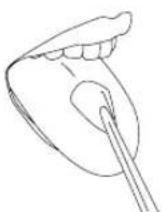 Waterpik WP462E1 - Embout gratte-lingue - 1