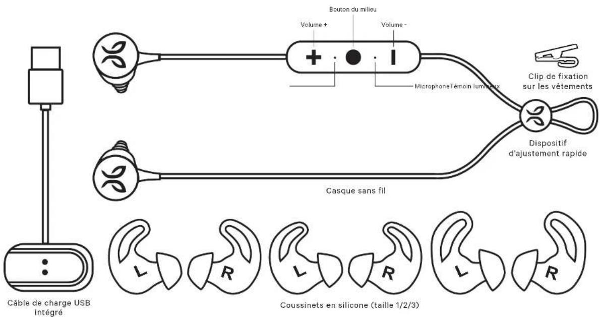 JAYBIRD Tarah - CONTENU - 1
