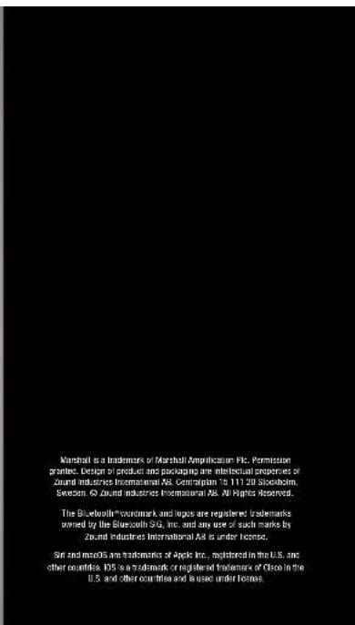 MARSHALL Minor II Bluetooth - LANGUAGES - 39