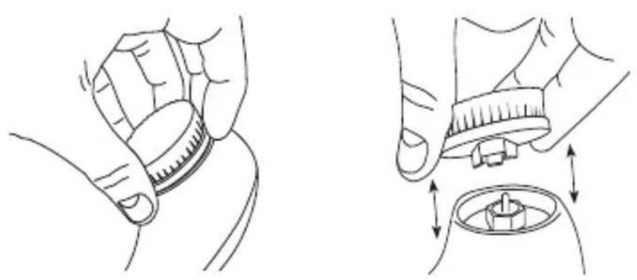 SILKN Fresh - Vervangen van de borstelkop - 1