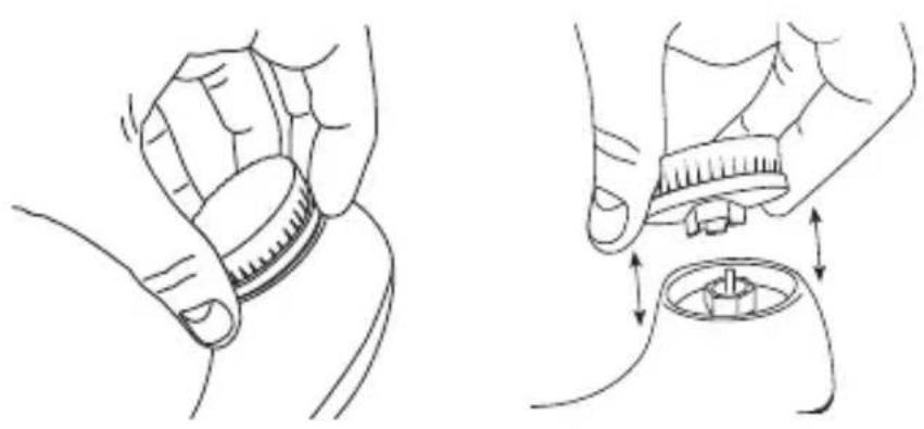 SILKN Fresh - Byta borsthuvudet - 1