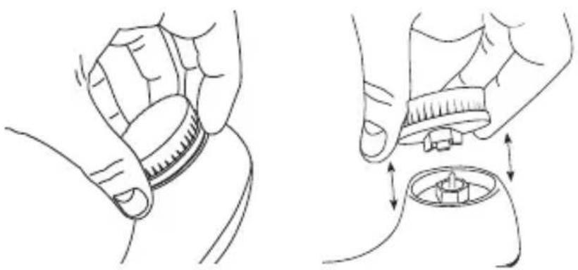 SILKN Fresh - Substituição da cabeça de escova - 1
