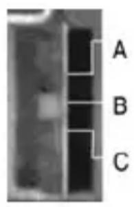 Humantechnik CM1 - Soporte Soporte plegable - 1