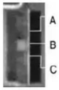 Humantechnik CM1 - Stativ Ausklappbares Stativ - 1