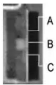 Humantechnik CM1 - Nr. Bedienelement Funktion und Anwendung CM-1Empfänger - 1