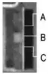 Humantechnik CM1 - Nr. Bedienings- Werking en Gebruik CM-1ontvanger element - 1