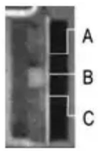 Humantechnik CM1 - N° Elément Fonction et utilisation du récepteur CM-1 - 1