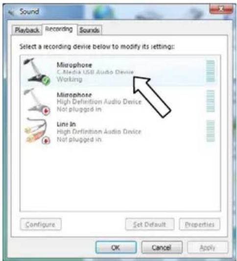ION GuitarLink - WINDOWS VISTA - 2