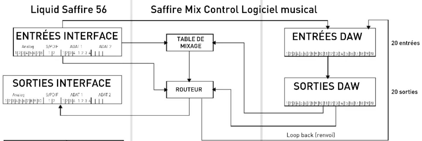 FOCUSRITE Liquid Saffire 56 - 44,1 kHz/48 kHz optique au format S/PDIF - 2