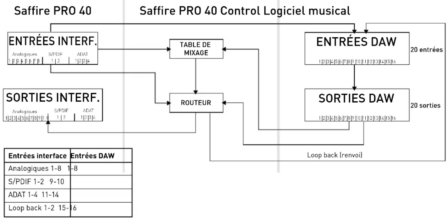 FOCUSRITE Saffire PRO 40 - Architecture de la Saffire PRO 40 - 3