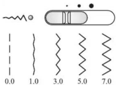MIO STAR M22 En Vogue - Nahlen - 2