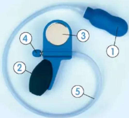 Epi-no Delphine Plus - 1
